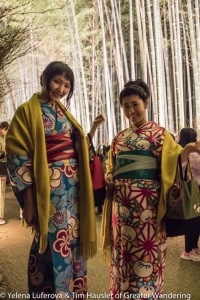 Women dressed in kimono enjoying the bamboo grove and evening lighting