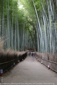 Arashiyama bamboo forest by day