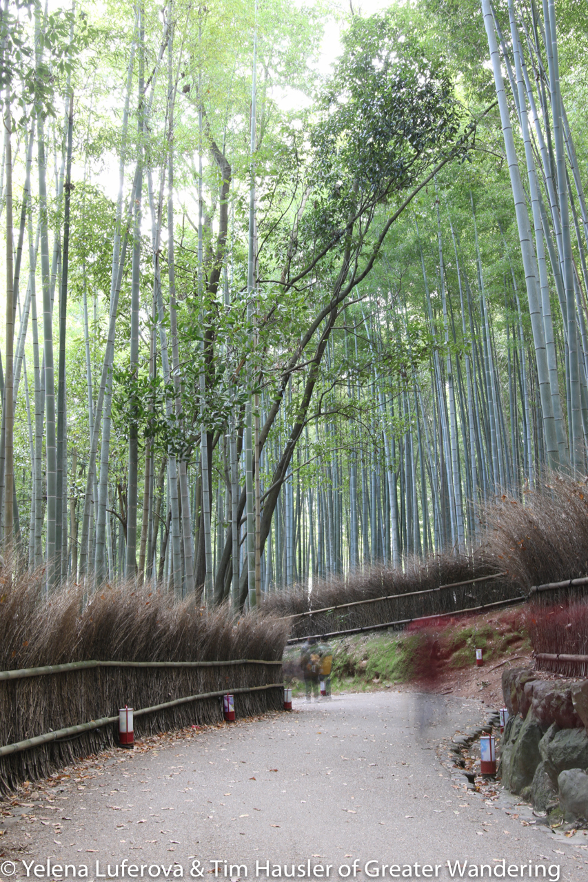 Arashiyama bamboo forest by day