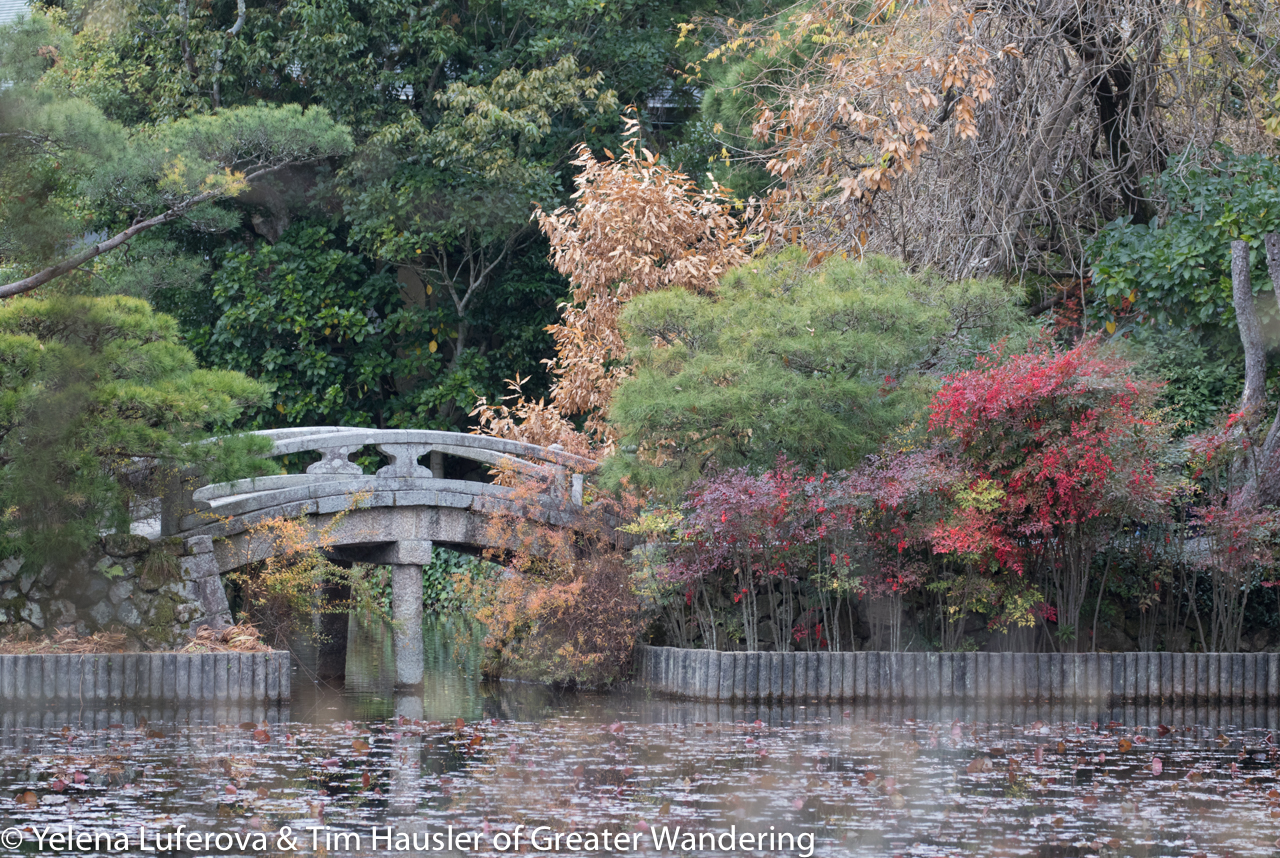 Ryoanji temple gardens