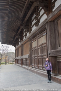 Toji temple's massive wooden buildings - we still don't understand where they get the trees from???