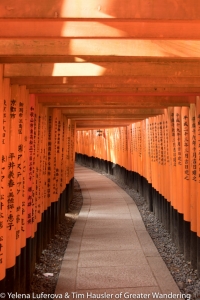 Fushimi Inari - Very orange yes.
